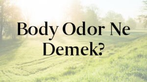 Body Odor Ne Demek?