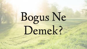 Bogus Ne Demek?
