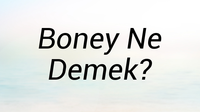 Boney Ne Demek?