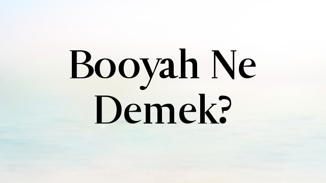 Booyah Ne Demek?