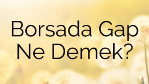 Borsada Gap Ne Demek?