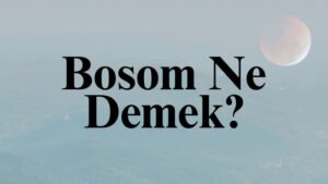 Bosom Ne Demek?