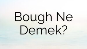 Bough Ne Demek?