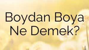 Boydan Boya Ne Demek?