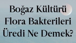 Boğaz Kültürü Flora Bakterileri Üredi Ne Demek?