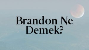 Brandon Ne Demek?