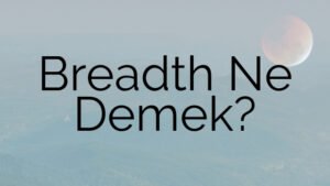 Breadth Ne Demek?