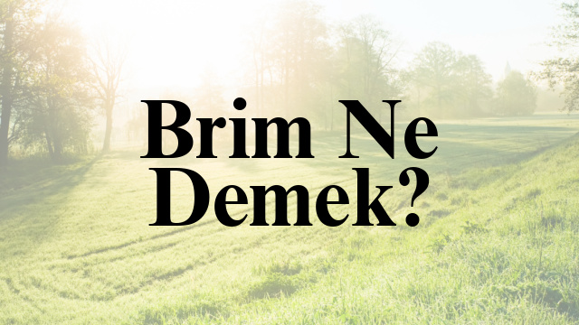 Brim Ne Demek?