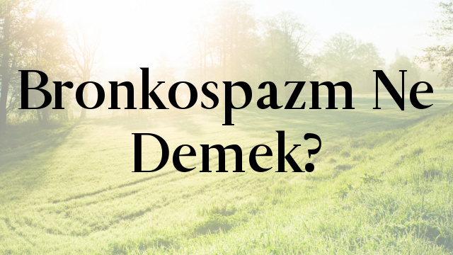 Bronkospazm Ne Demek?