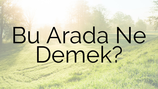 Bu Arada Ne Demek?