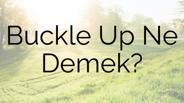 Buckle Up Ne Demek?