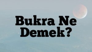 Bukra Ne Demek?