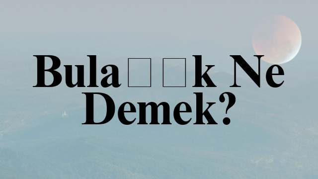 Bulaşık Ne Demek?