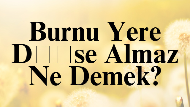 Burnu Yere Düşse Almaz Ne Demek?