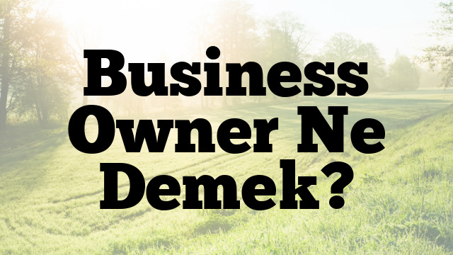 Business Owner Ne Demek?