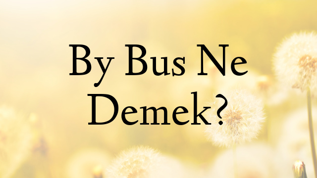 By Bus Ne Demek?