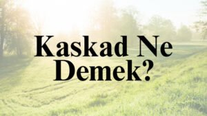 Kaskad Ne Demek?