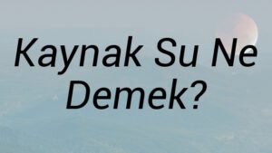 Kaynak Su Ne Demek?