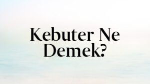Kebuter Ne Demek?