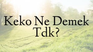 Keko Ne Demek Tdk?