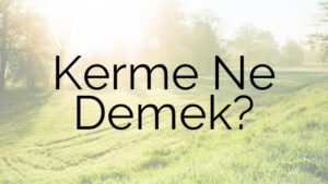 Kerme Ne Demek?