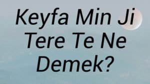 Keyfa Min Ji Tere Te Ne Demek?