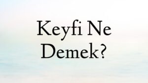 Keyfi Ne Demek?