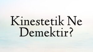 Kinestetik Ne Demektir?