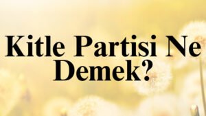Kitle Partisi Ne Demek?