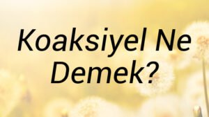Koaksiyel Ne Demek?