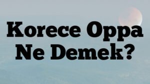 Korece Oppa Ne Demek?