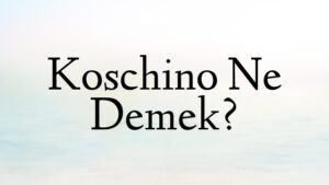 Koschino Ne Demek?