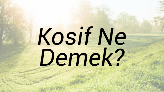 Kosif Ne Demek?