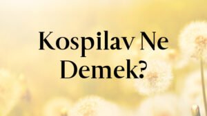 Kospilav Ne Demek?