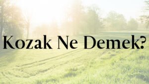 Kozak Ne Demek?