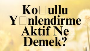 Koşullu Yönlendirme Aktif Ne Demek?