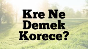 Kre Ne Demek Korece?