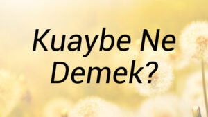 Kuaybe Ne Demek?