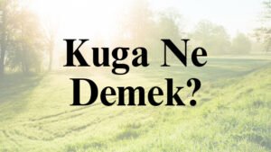 Kuga Ne Demek?