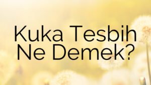 Kuka Tesbih Ne Demek?