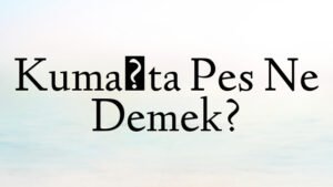 Kumaşta Pes Ne Demek?