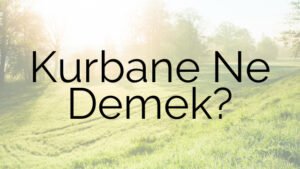 Kurbane Ne Demek?