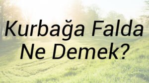 Kurbağa Falda Ne Demek?