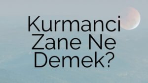 Kurmanci Zane Ne Demek?