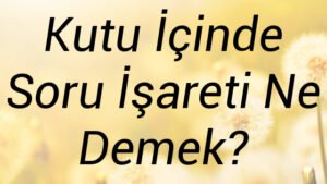 Kutu İçinde Soru İşareti Ne Demek?