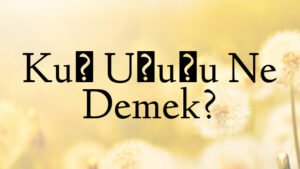 Kuş Uçuşu Ne Demek?