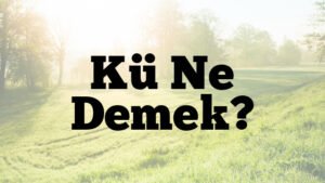 Kü Ne Demek?
