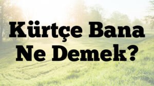 Kürtçe Bana Ne Demek?