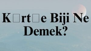 Kürtçe Biji Ne Demek?