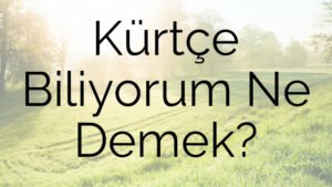 Kürtçe Biliyorum Ne Demek?